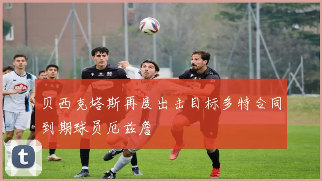 贝西克塔斯再度出击目标多特合同到期球员厄兹詹